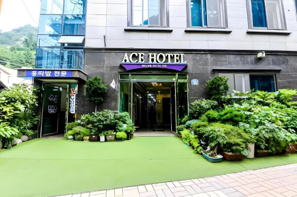 Ulleungdo Ace Hotel المظهر الخارجي الصورة
