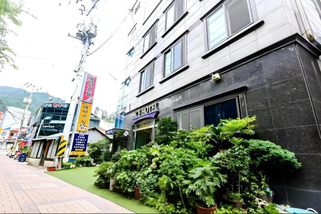 Ulleungdo Ace Hotel المظهر الخارجي الصورة