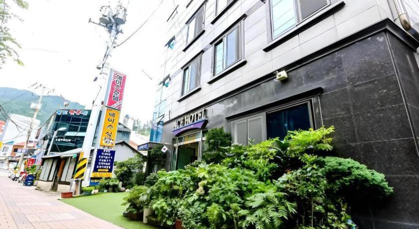 Ulleungdo Ace Hotel المظهر الخارجي الصورة